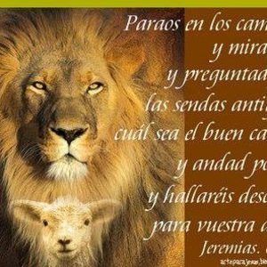 Meet your Posher, Luis